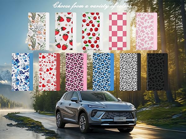 Car Registration Holder