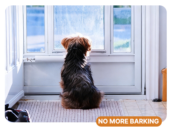 no more barking