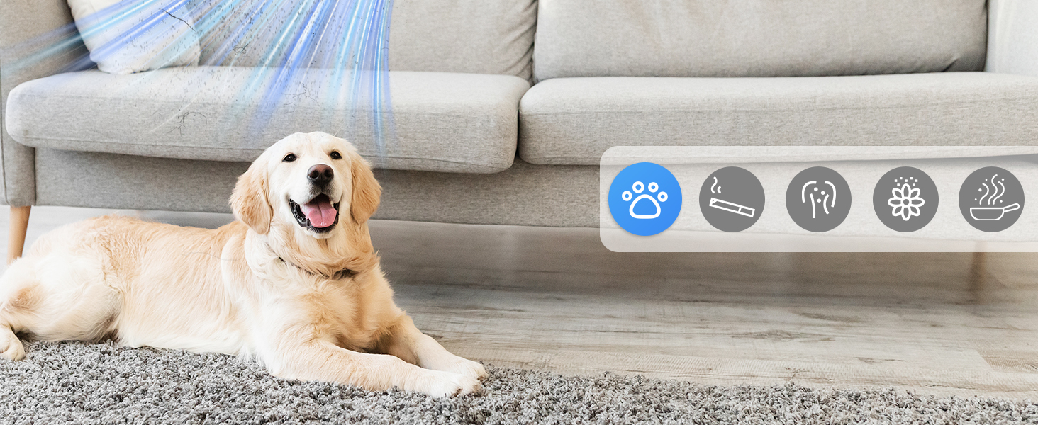 large room hepa air purifier