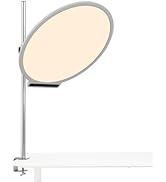 amaran Verge Max LED Video Light,60W Bi-Color 22in Circular Edge-lit Panel Light,APP Control with...