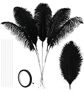 Soarer Black Large Ostrich Feathers - 10Pcs Making Kit 34inch Extra Large Ostrich Feathers for Ta...