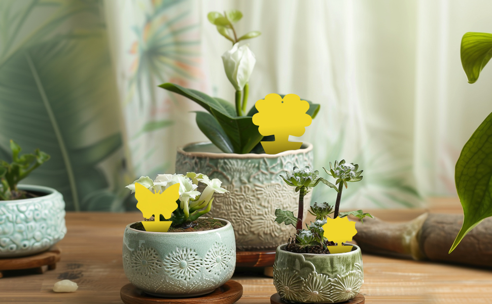 Fits Various Size Pots