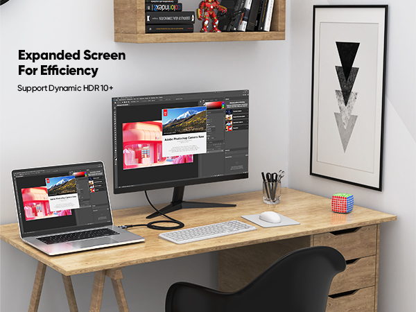 display port to display port cable