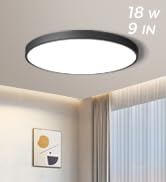 18W black ceiling light 