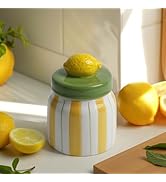 DIF DECO Cookie Jars with Lid Airtight, Hand Painted Lemon Ceramic Food Storage Containers with L...