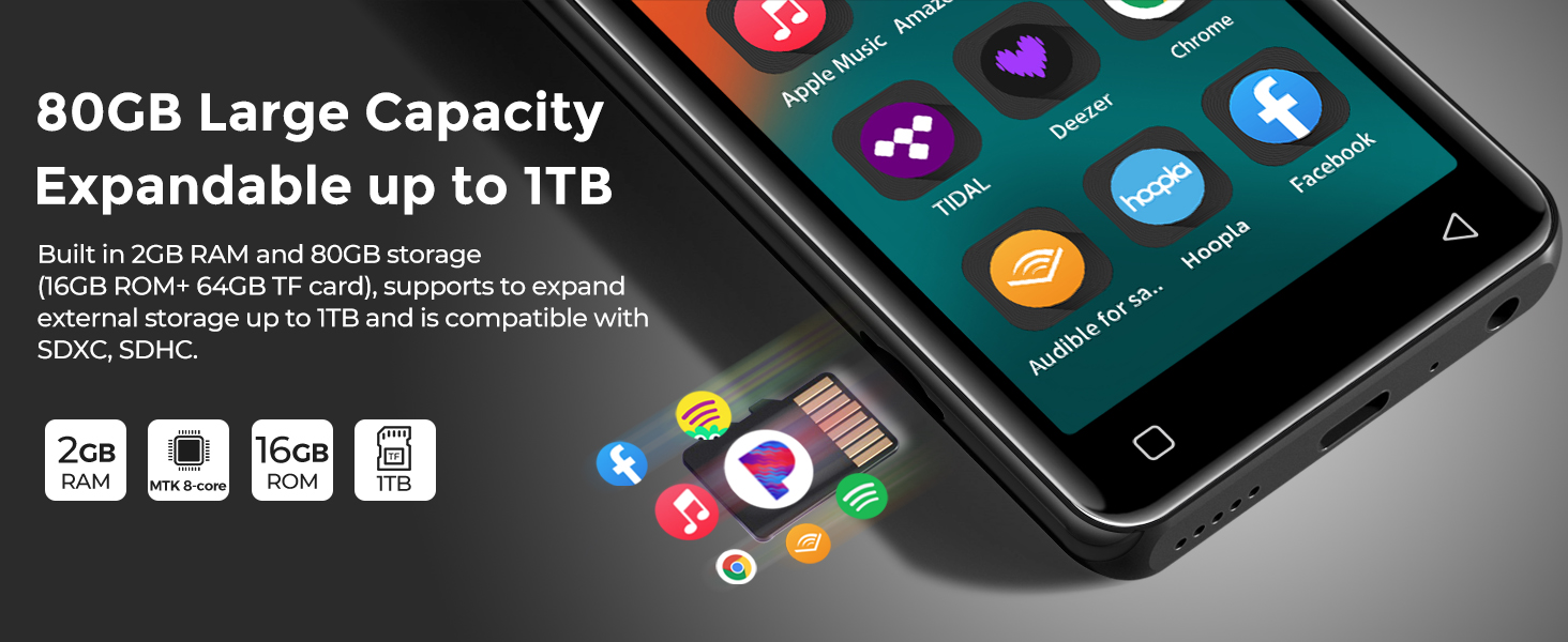 mp3 player with spotify