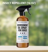 peppermint spray bugs insects pests