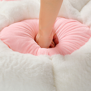 cat paw cushion