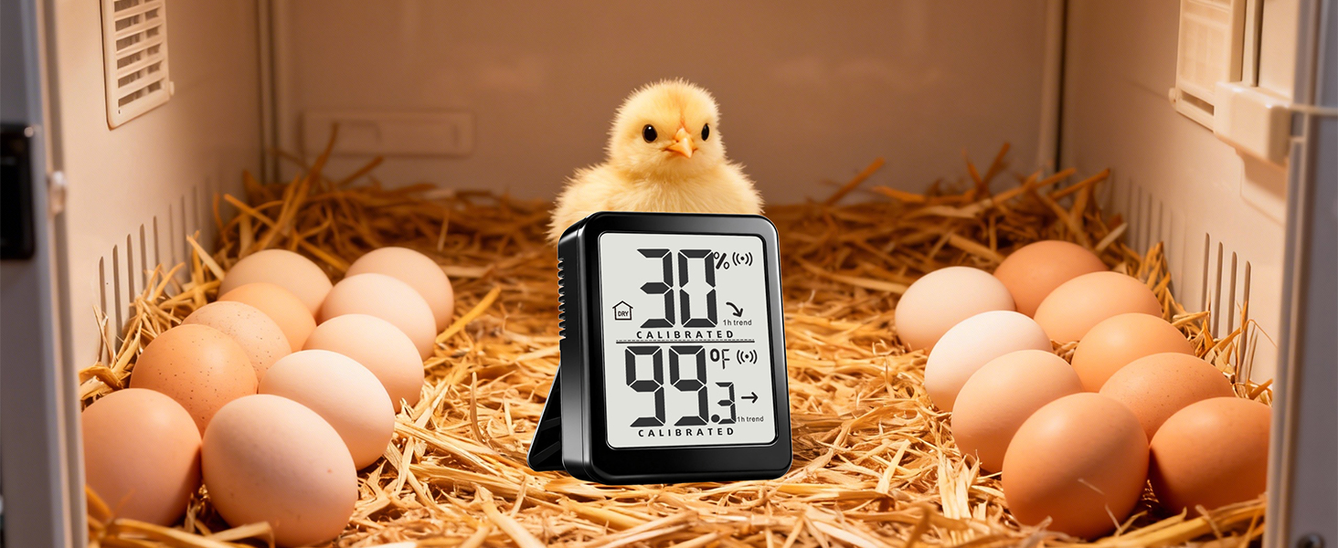 indoor thermometer for room temperature analog