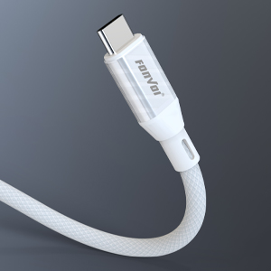 Type C AUX Cable