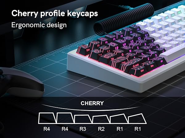 Double Shot PBT keycaps for Mechanical Keyboard,Black/White Topographic,Shine Through keycaps