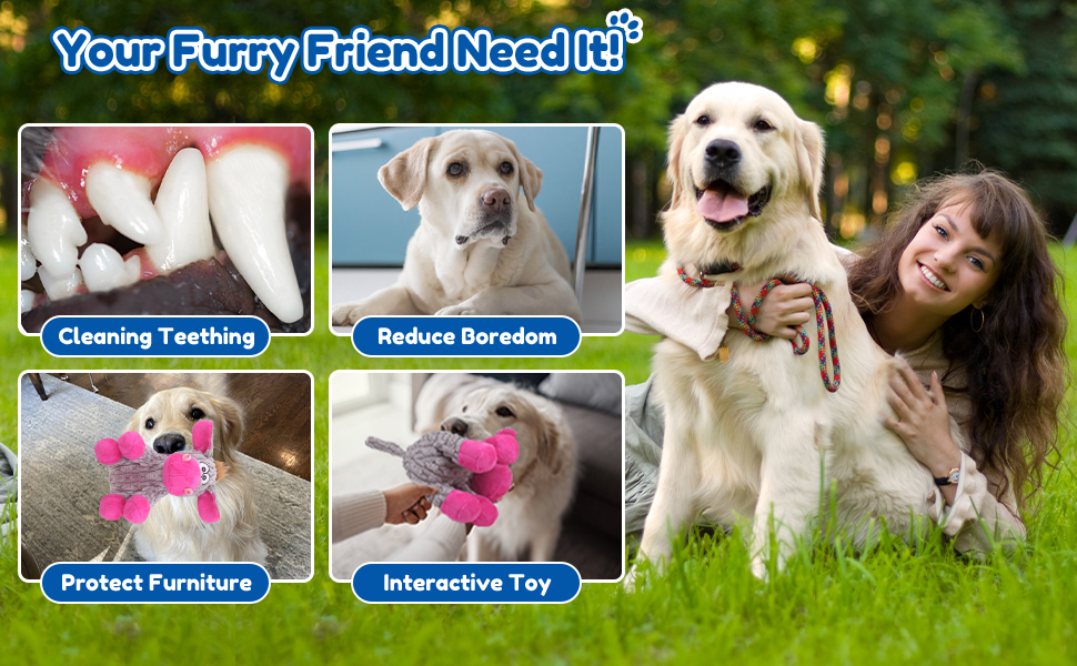 dog chew toys