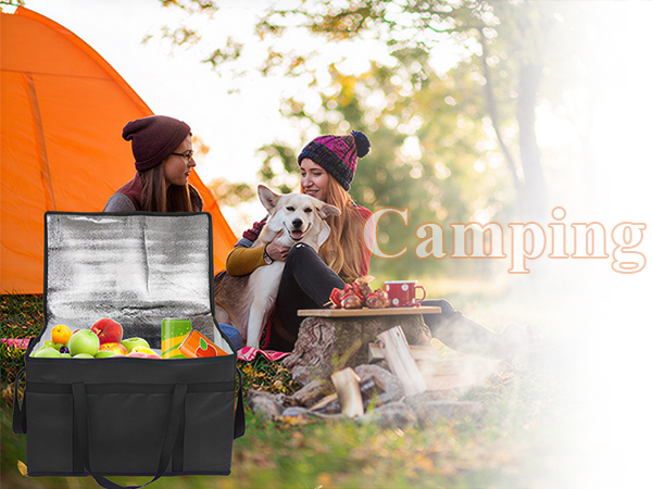 food delivery bag