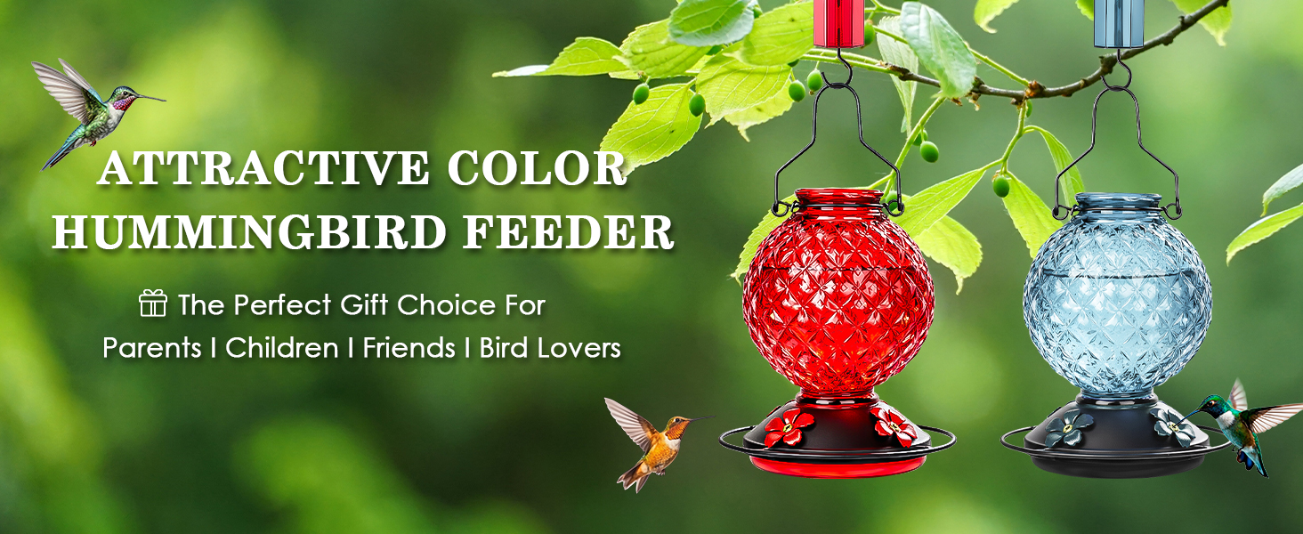 Glass Hummingbird Feeder