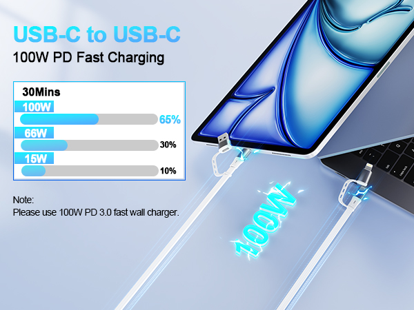 USB-C + Lightning Cable