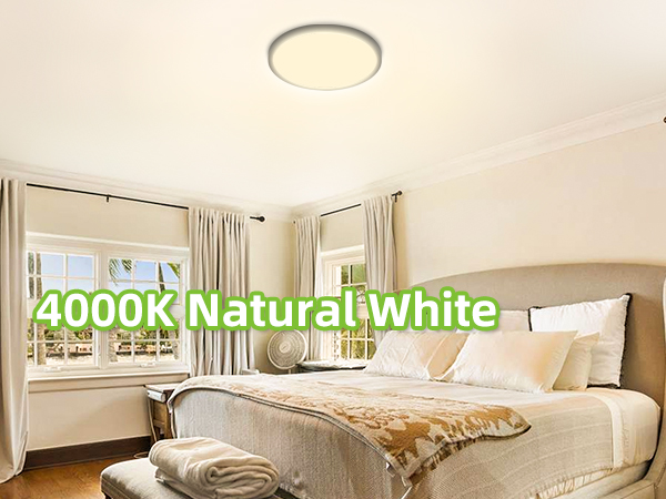 LED Round Flat Panel Light