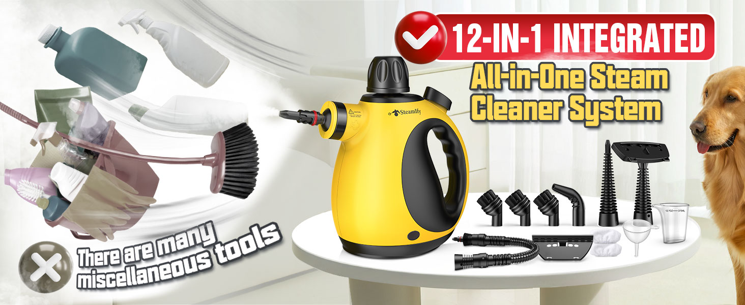 Steam Cleaner