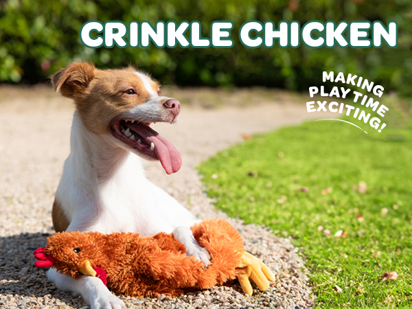 Crinkle chicken dog toy
