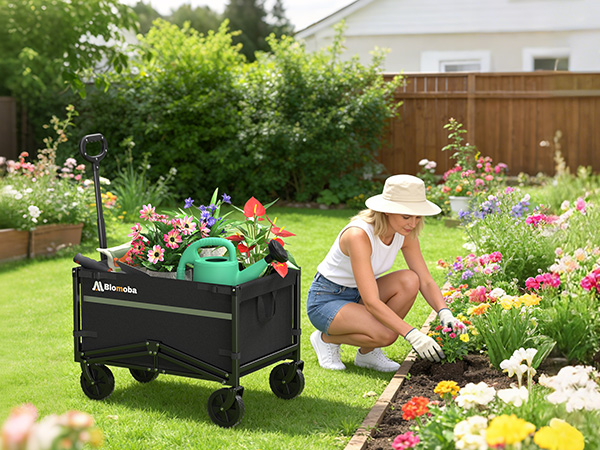 foldable wagon cart