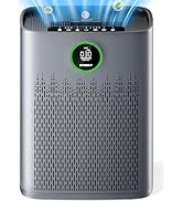 Air Purifiers for Home Large Room, Cover Up to 2400 Ft² with True HEPA Filter, Smart Mode, PM2.5 ...