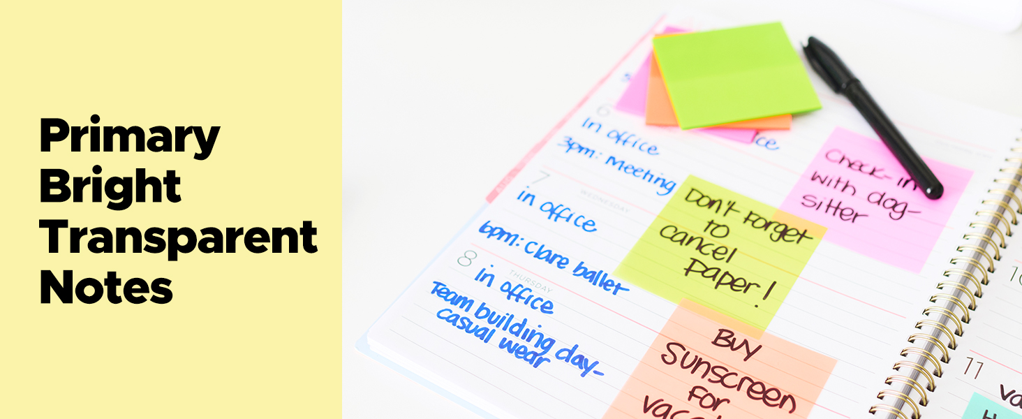 Primary Bright Transparent Notes