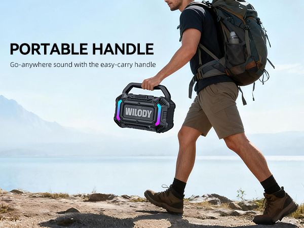 portable handle
