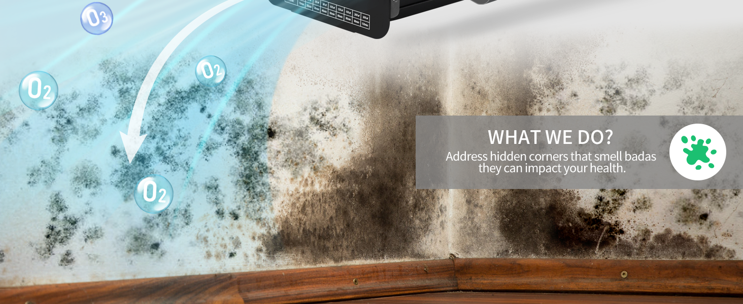 odor eliminator for home