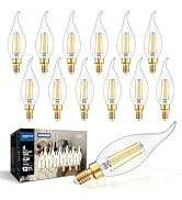 IINVGOOD 12-Pack Dimmable LED Candelabra Light Bulbs 40 Watt Equivalent, 5000K Daylight White Cha...