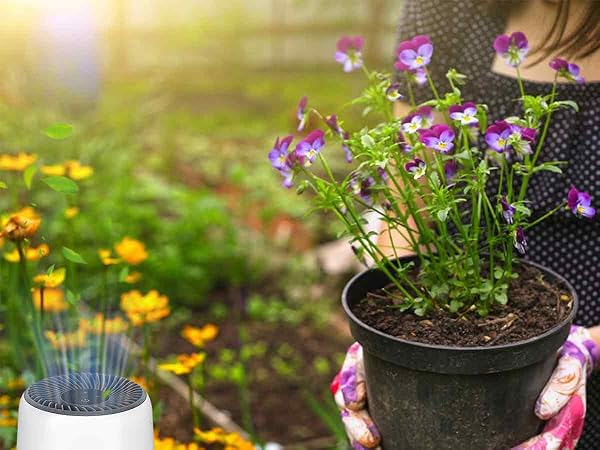 LQ-Mini-AA-1200900-A11A