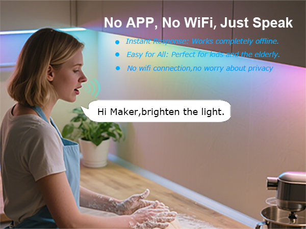 voice control for kitchen