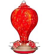 LaElvish Garden Hummingbird Feeders for Outdoors Hanging, 32OZ Hand Blown Glass Hummingbird Feede...