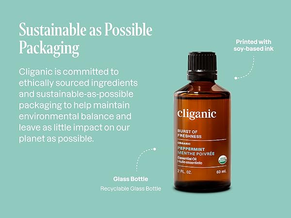 Sustainability as Possible Packaging