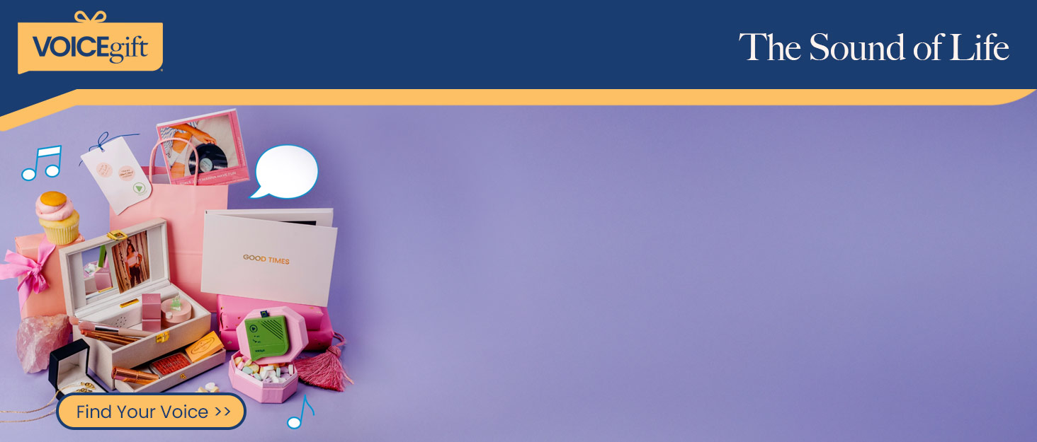 VoiceGift Voice Recorders, audio note takers