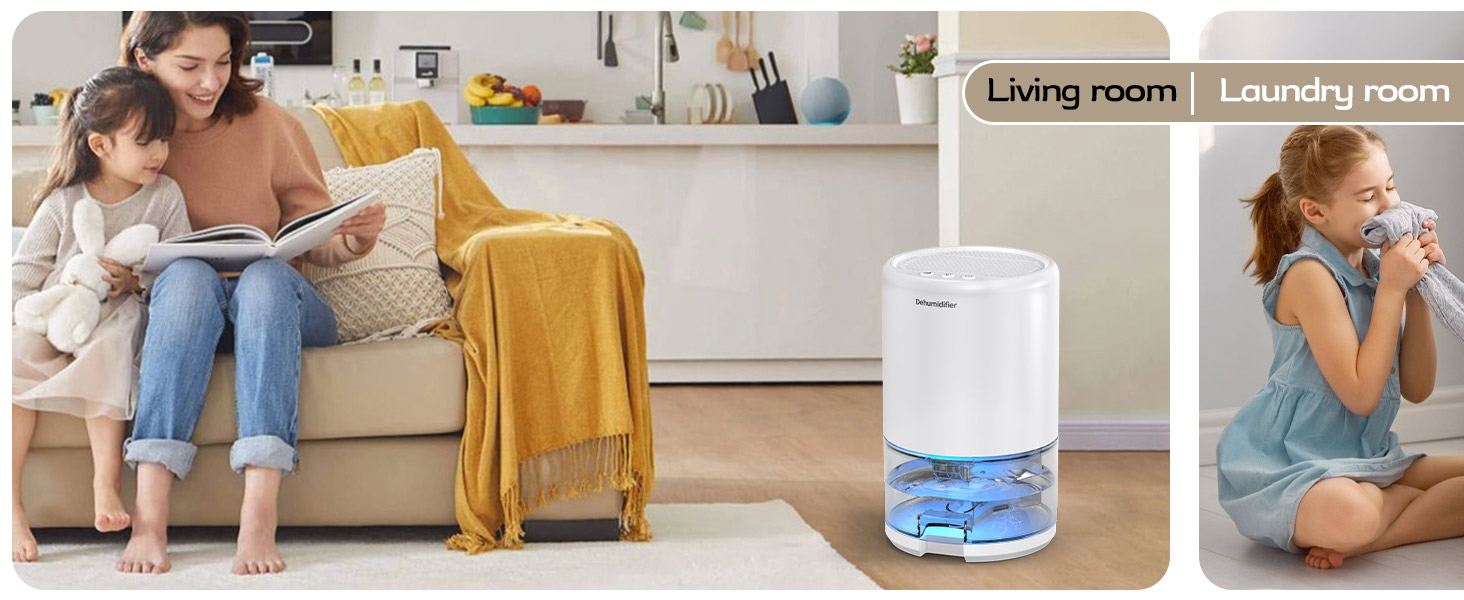dehumidifier