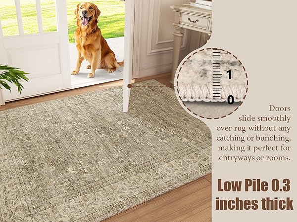 Low pile area rugs for entryway