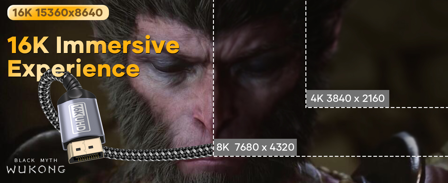 16K Immersive Experience