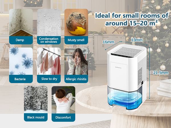 Dehumidifier for Home