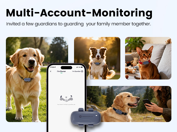 cat tracking collar