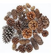Puideon 50 PCS Natural Pine Cones Mixed Sizes for Acorn Decor,Vase Filler,Birthday Gifts,Rustic H...