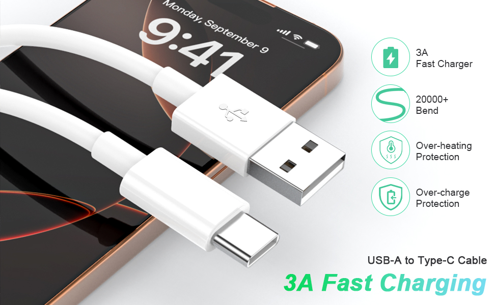 3A Fast Charger