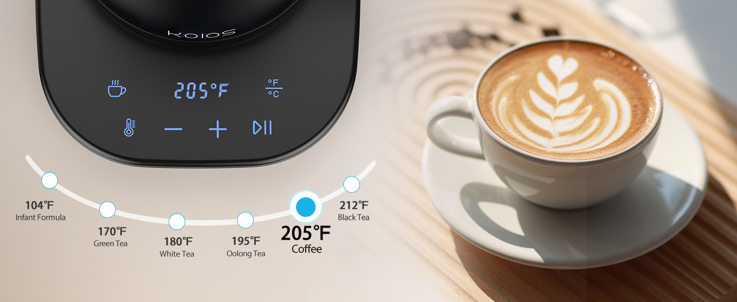 gooseneck ketle electric