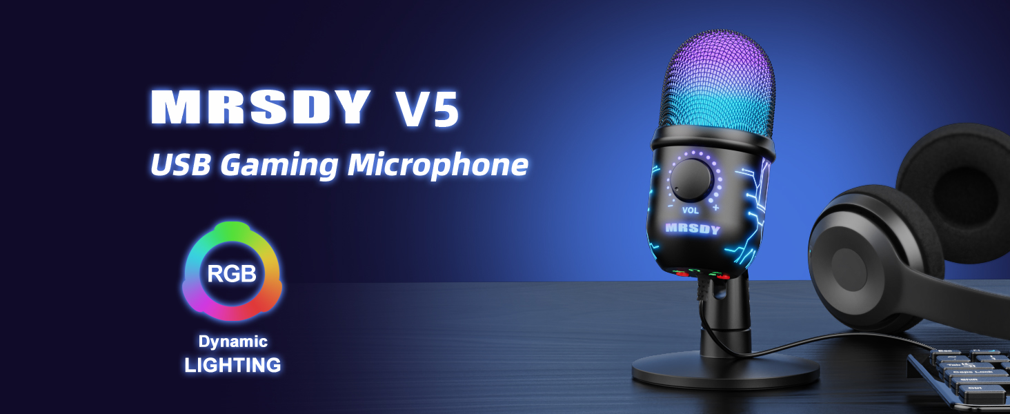 V5 computer microphone