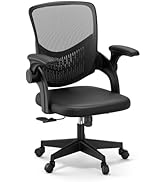 Basic Ergonomic Swivel Office Chair, Black Desk Chair, Executive Chair - Breathable Mesh Backrest...