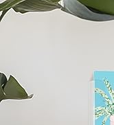 MaxGear Brochure Holder 4x9 inch Acrylic Literature Display Stand Clear Plastic Flyer Holder Wall...
