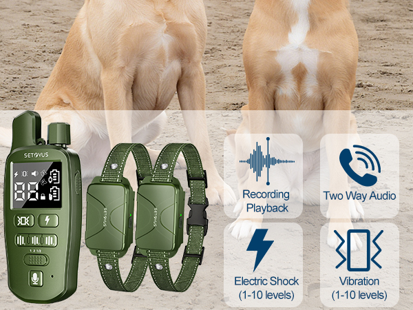 dog training collar