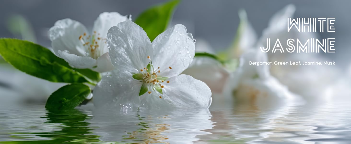 White Jasmine