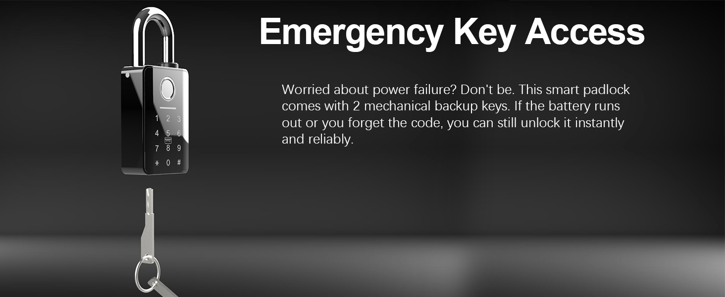 fingerprint padlock with key
