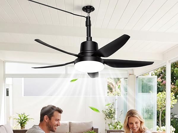 Plug in Ceiling Fan with Light