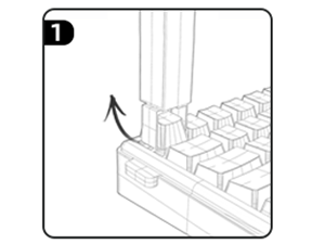 clicky keyboardS switch