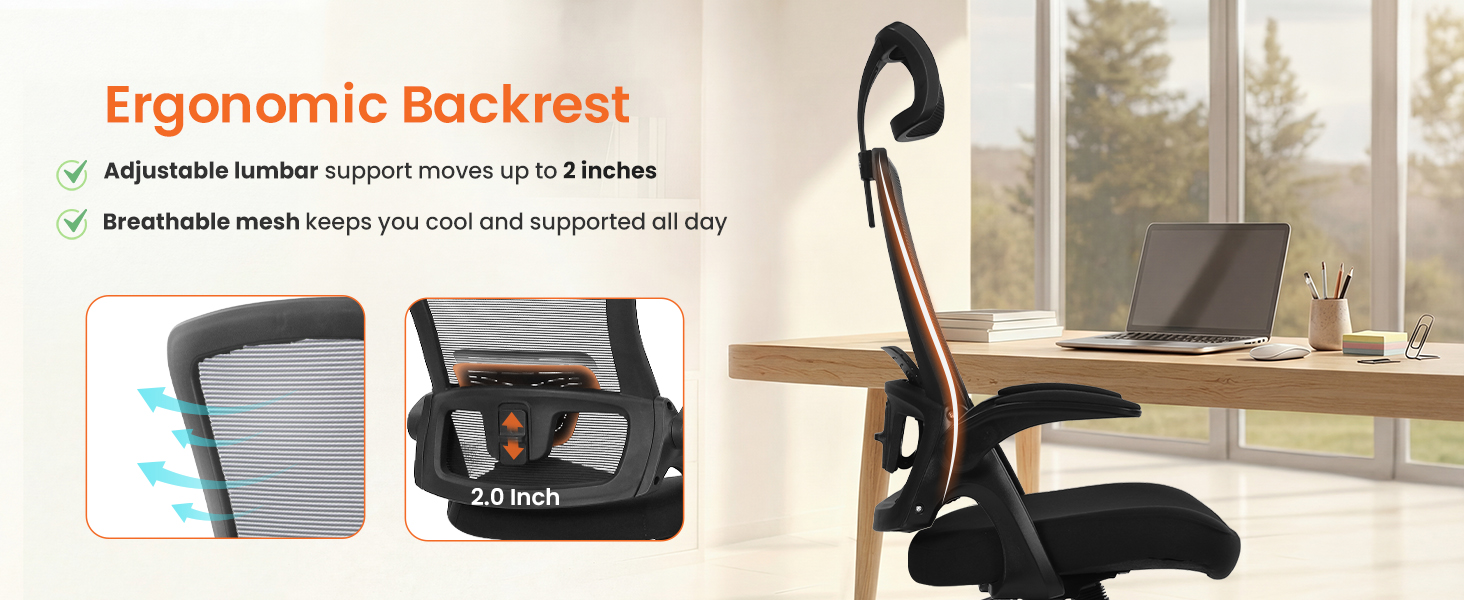 Ergonomic Chair